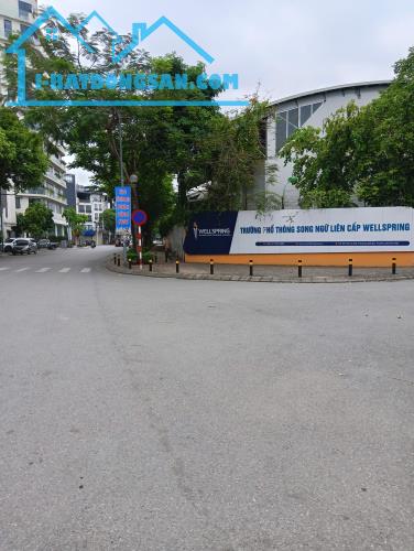 Hàng hiếm phố Ái Mộ - Long Biên - HN.