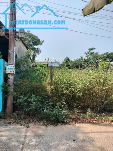 SỞ HỮU NGAY ĐẤT NHÀ VƯỜN RỘNG RÃI – GIÁ CHỈ 2,5 TỶ TẠI HÒA THỌ TÂY!