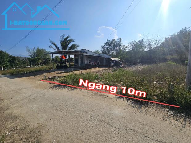 Bán đất Diên Đồng sau lưng Uỷ ban xã đi vào - đường thông QH mở rộng 16m