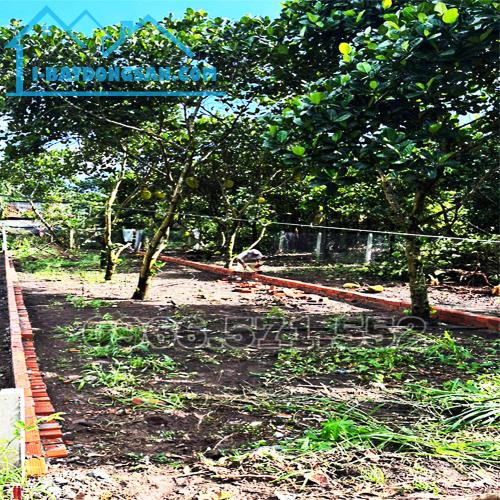 210m² THỔ CƯ, NGAY CHỢ HÀM NGHI – TP LONG KHÁNH – ĐN. CƠ HỘI X2,3 TÀI SẢN.