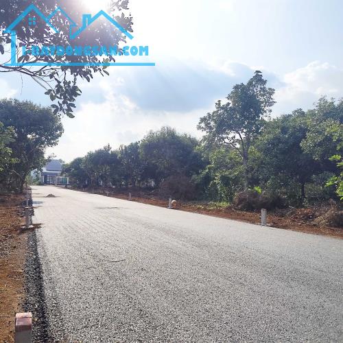 ĐẤT NỀN MT ĐƯỜNG NHỰA, CHỈ 380Tr! NGAY CHỢ VÀ KCN LONG KHÁNH. ĐỒNG NAI
