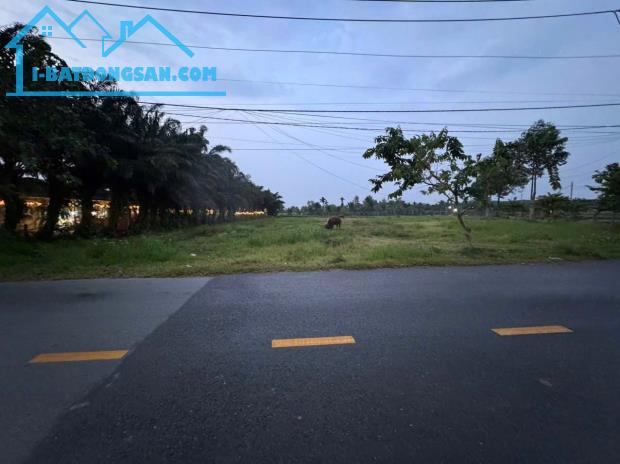 ĐẤT VÀNG 2 MẶT TIỀN VÕ VĂN ĐIỀU – QUỸ ĐẤT LỚN HIẾM CỦ CHI