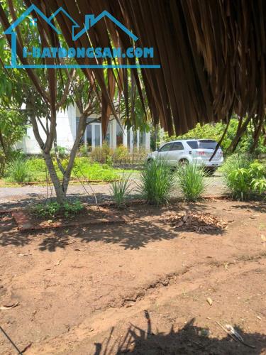 Nhà vườn lô góc 2 MT Long Thuận, Long Phước – Dt 5417m² (70 x 80)