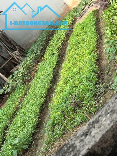 Bán đất đẹp Xuân dục, Yên Thường, Gia lâm 62m² 4.5 tỷ, Nở Hậu, Ngõ rộng, Thông, Gần Ô tô.