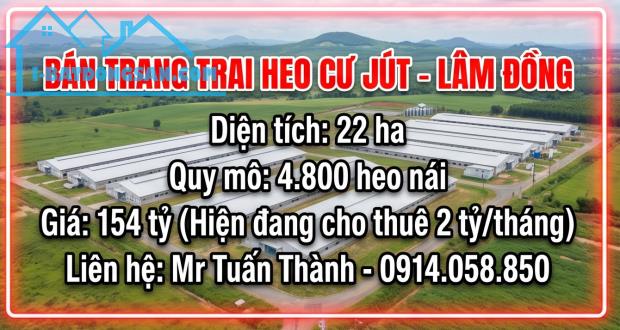 Bán Trang trại heo 22 Ha 4.800 heo nái -Cư Jut, Đăk Nông. Đang cho thuê 2 tỷ/tháng