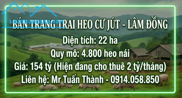 Siêu Trang Trại Heo 22ha - Thu Nhập cho thuê 24 Tỷ/Năm