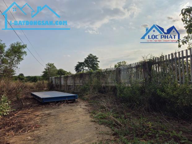 Bán đất xây dựng xưởng 15000m2 tại P. Phước Tân, TP Đồng Nai.