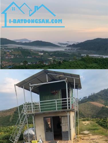 Sở hữu 250m chiều dài ranh giới tiếp giáp văn minh (đường nhựa/bê tông), nhưng lại ẩn mình