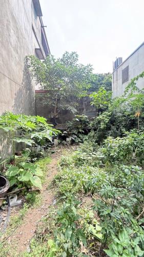 50 m2 - mặt tiền 5 m- tô đỗ cổng - nhỉnh 8 tỷ - Đức giang - đất cực đẹp