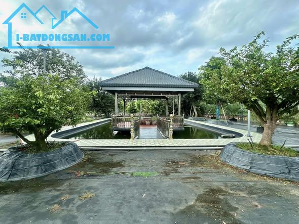 Bán nhà và đất 8000m2 mặt tiền Phường Phú Tân,tặng toàn bộ cây cảnh trên đất