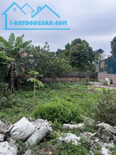 BÁN ĐẤT BÌNH MINH, BÌNH ĐÀ, THANH OAI – VỊ TRÍ ĐẸP, GẦN QL21B, 60M2 GIÁ 3,6 TỶ