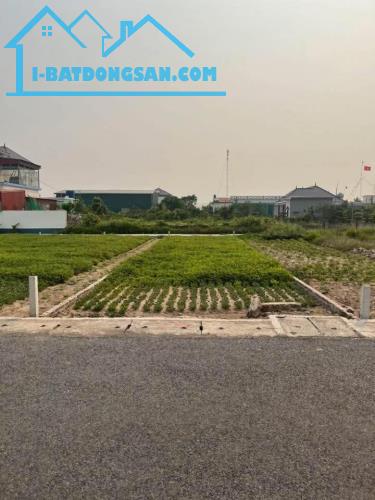 ĐẤT BIỂN NINH CƠ - VIEW ĐẸP - 100M - GIÁ ĐẦU TƯ X2 TÀI SẢN