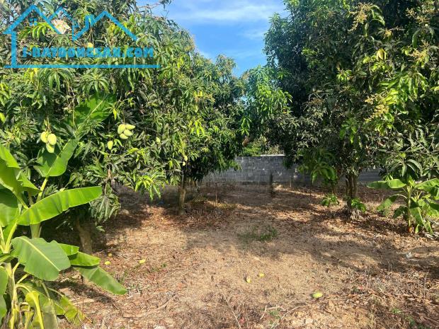 Bán đất Diên Phước mặt tiền đường Phước Tuy rộng rãi phù hợp xây biệt thự vườn