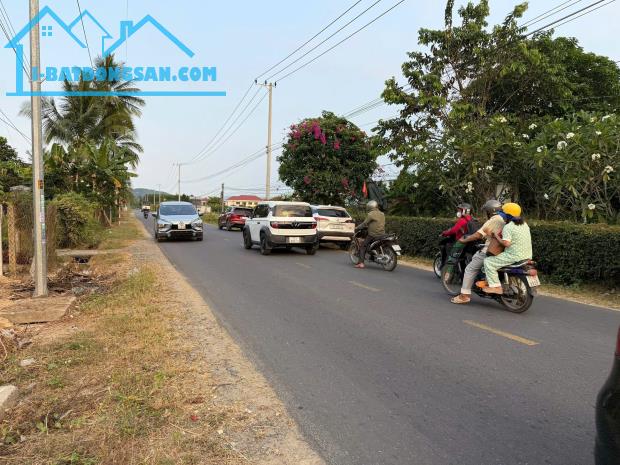 Bán đất mặt tiền Tỉnh Lộ 8 - Diên Lâm giá rẻ gần trường Đinh Bộ Lĩnh