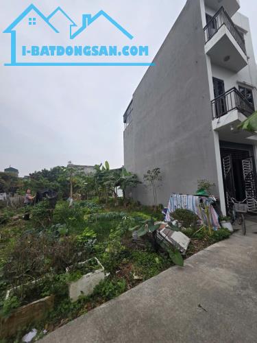 Đất Việt Hòa TP Hải Dương 50.8m2 nở hậu ô tô đỗ cửa giá hời 1.250 tỷ