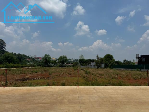 🔥 ĐẤT VIP P. BUÔN MA THUỘT (TÂN LỢI CŨ): ĐƯỜNG 8M - CẶP LIỀN KỀ 5x26m - GIÁ 3 TỶ 5/LÔ SỔ