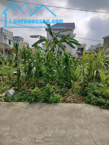 🔥 ĐẤT bắc thượng– GẦN CHỢ, TRƯỜNG, TRẠM | ĐỐI DIỆN KCN NỘI BÀI 🔥