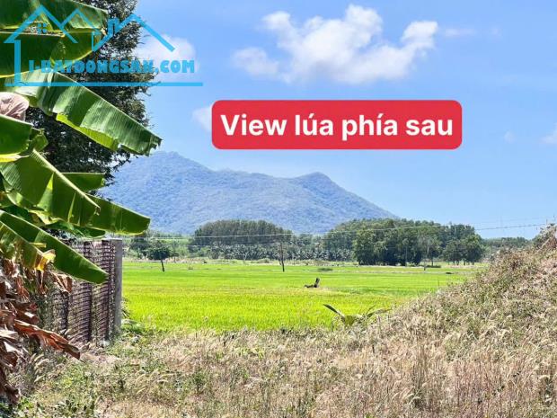 Bán lỗ lô 320m2 View Cánh đồng lúa chill như Đà Lạt chỉ 650tr, ngay trung tâm hành chính Đ
