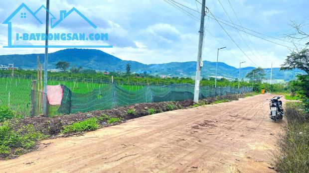 6.500m2 ( đất liên hiệp cu, lâm đồng ) - 2500m2 thổ cư - quy hoạch full hồng