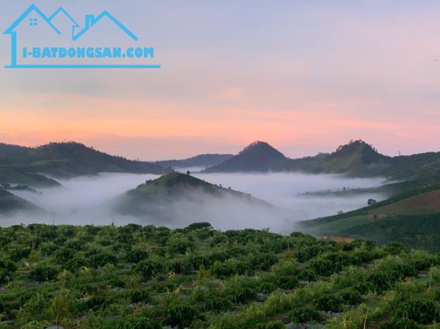 Bán nhà đất tại trung tâm Đạ knang đam Rông Lâm Đồng