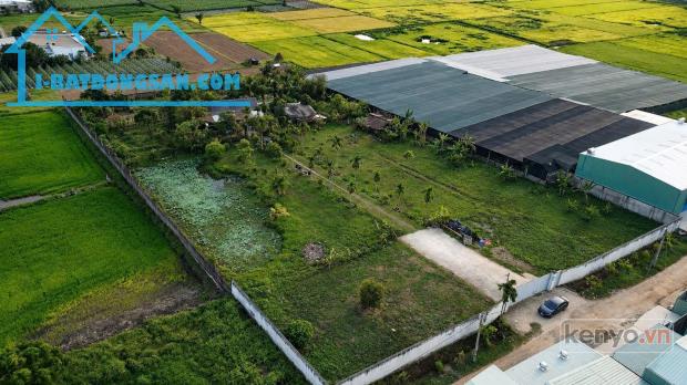 🏗️ ĐẤT MẶT TIỀN XUÂN THỚI SƠN – GẦN THANH NIÊN & NGUYỄN VĂN BỨA – GẦN 6.400M²