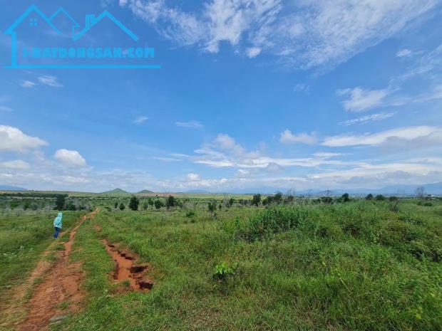 Chuyển nhượng quỹ đất TMDV 19ha Tân Thành, Hàm Thuận Nam, Bình Thuận. Giá Rẻ.