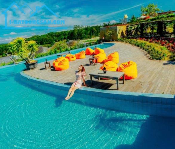 bán Khu Du Lịch. Coffee Check In. Nổi Tiếng. 3000m2 chỉ 25 tỷ