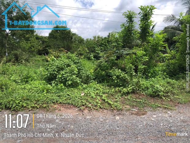 Cần Bán Lô Đất Vườn 552m2 tại Xã Nhuận Đức, Huyện Củ Chi, TP.HCM. Giá TL