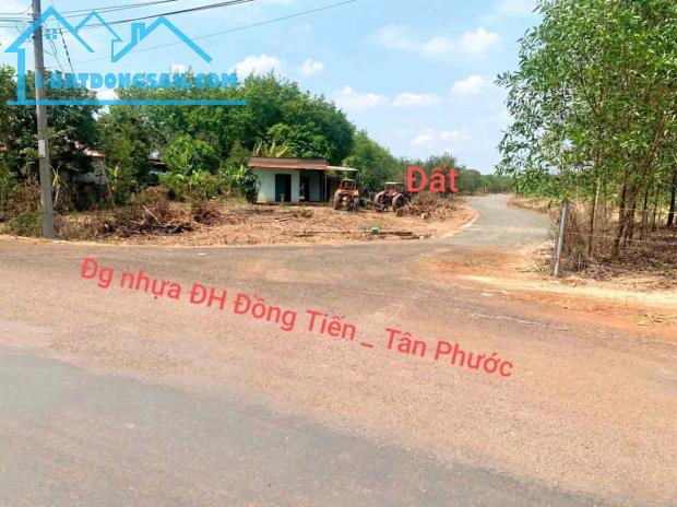 hơn 7000 vườn trái cây ,giá 190tr/sào