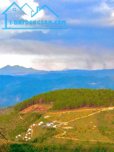 BÁN ĐẤT LỚN TÂN VĂN LÂM HÀ ĐÀ LẠT CHỈ 25 TỶ