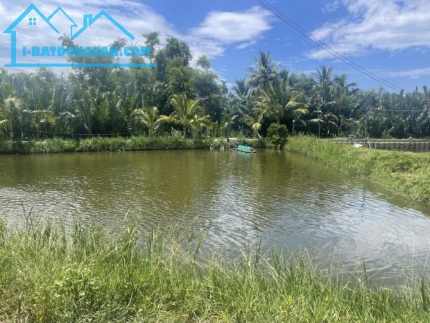 🔥 DX17 - HỘI AN | NGANG 7,92M NỞ HẬU 10M | 197M² | CHỈ 4,6 TỶ 🔥