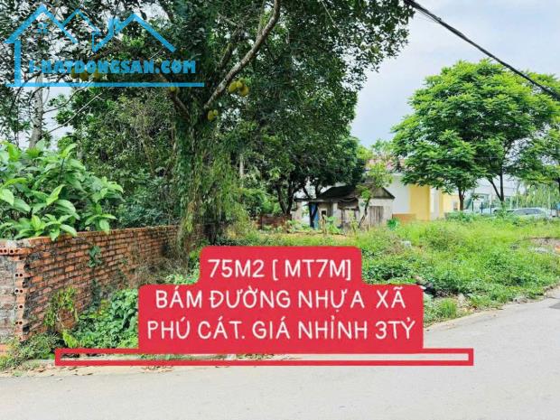 NHỈNH 3TỶ CÓ LUÔN 75M2 TRUNG TÂM XÃ PHÚ CÁT