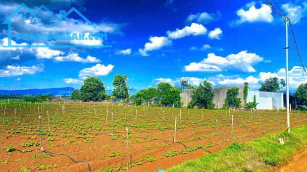 Tổng 2 héc ta – 2 mặt hẻm - xã đức trọng, Lâm đồng