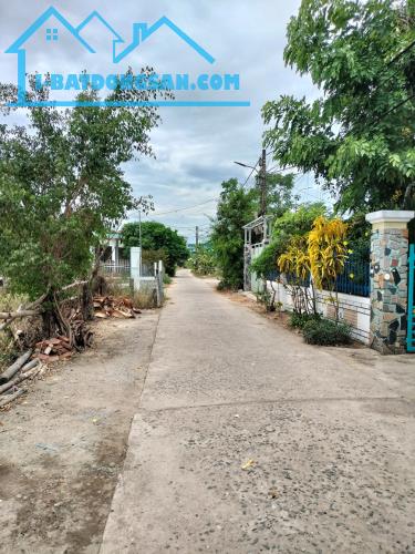 🌟 ĐẤT KIỆT Ô TÔ NGŨ HÀNH SƠN – 100M² VUÔNG VỨC – GIÁ CHỈ 2,75 TỶ!