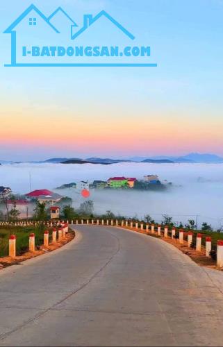 BÁN ĐẤT TÂN VĂN LÂM HÀ HƠN 5000M2 Ạ phâm lô được ạ