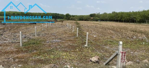 CHÍNH CHỦ BÁN ĐẤT FULL THỔ CƯ – GIÁ CHỈ 200 TRIỆU – SỔ HỒNG RIÊNG – BAO SANG TÊN