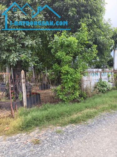 🔥 BÁN GẤP ĐẤT MẶT TIỀN KÊNH TRUNG ƯƠNG, HÓC MÔN – 5.840M², QUY HOẠCH KHU DÂN CƯ