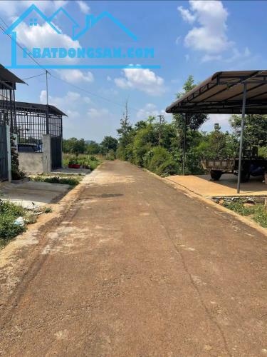 Hiện tại chủ đang cần tiền nên để lại giá 3,2 tỷ cho toàn bộ diện tích lên tới 1218m2
