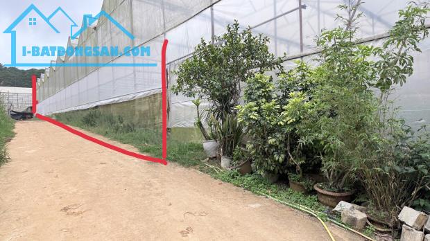 Bán gấp đất NN phân lô cách bệnh viện sản nhi Lâm Đồng, phường 7 5km