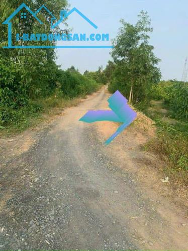 BÁN ĐẤT NHÀ VƯỜN 1.000m² GIÁ TỐT – BÌNH ĐỨC, BẾN LỨC, LONG AN