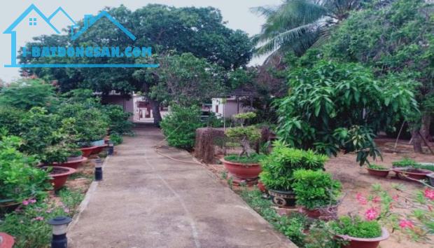 CHÍNH CHỦ XUẤT CẢNH NƯỚC NGOÀI NÊN BÁN ĐẤT CÓ SẴN KHÁCH SẠN ĐƯỜNG NGUYỄN THÔNG-PHAN THIẾT