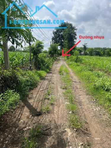 BÁN ĐẤT ĐẸP GIÁ RẺ CHỈ HƠN 420 triệu/sào có DT 10.123m²