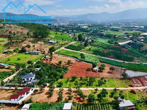 Bán Đất Ven Đà Lạt 322m² Ngang 12m – Thổ Cư 259m², Hạ Tầng Hoàn Thiện, Sẵn Sàng Xây Dựng