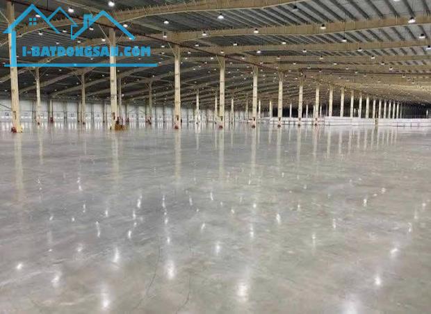 🌺🌺CHUYỂN NHƯỢNG XƯỞNG KCN TẠI TÂN LẬP, CẦN GIUỘC, LONG AN
