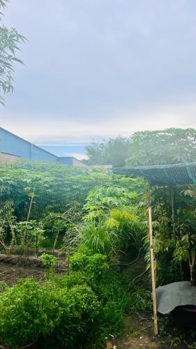 552m2 ngang 10m giá giảm 600 triệu còn 12.9 tỷ