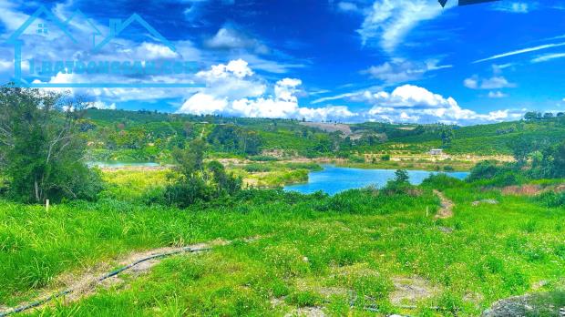 1,3 ha ( 13.000m2 ) mà giá chỉ 3,5 tỷ - phú hội cũ, đức trọng, lâm đồng
