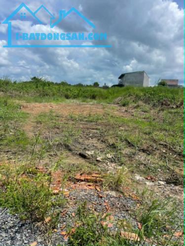 Bán cặp nền KDC Tân Đức, giá rẻ, 10x25 (250m2), giá tốt chỉ có 2ty550, shr