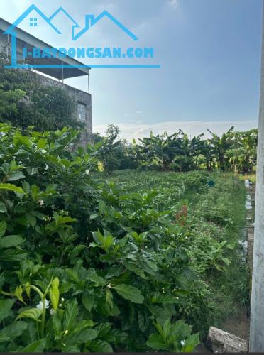 🚨2 LÔ ĐẤT LIỀN THỔ 100M2/LÔ CHUNG CƯ AN HỒNG, ĐỐI DIỆN TTHC PHƯỜNG HỒNG AN