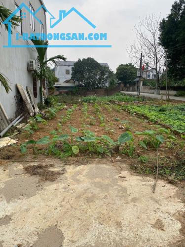 BÁN ĐẤT GẦN KHU CÔNG NGHIỆP TRÀNG DUỆ 3 AN LÃO - HẢI PHÒNG