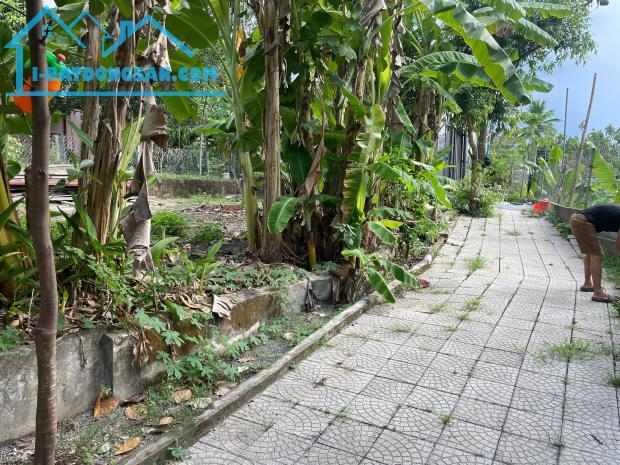 🔥 HƠN 300m² ĐẤT Ở GẦN BÀ NÀ CHỈ HƠN 3 TỶ – TẶNG NHÀ CẤP 4 ĐÚC, CƠ HỘI KHÓ TÌM LẦN 2!